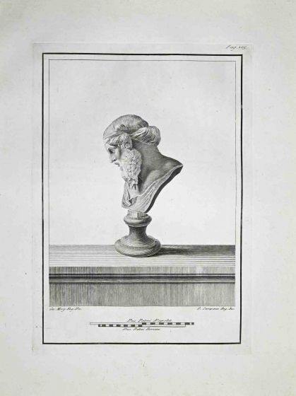 Profile of Ancient Roman Bust