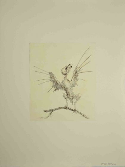 Bird