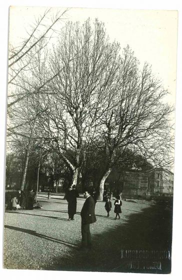The Old Days - Historical Photo   
