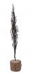 Composition by Nino Franchina - Online Decorative Objects