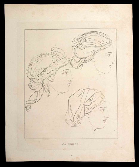 Profile of a Woman