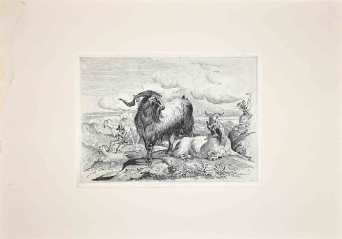 Goats  in the Roman Countryside