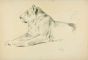 Lioness by Wilhelm Lorenz - Modern Artwork
