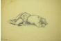 Reclined Woman