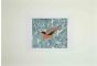 Giselle Halff - Bird - Contemporary Art