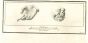 Ancient Roman Hands
