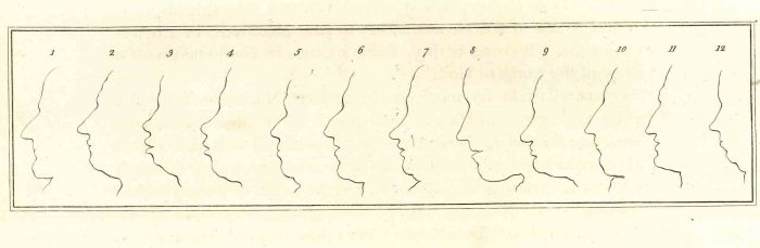 Profiles