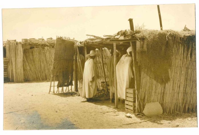 Voyage to Central Africa