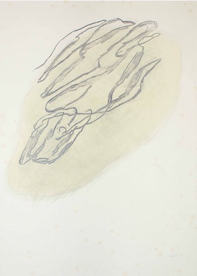 Formes Végétales