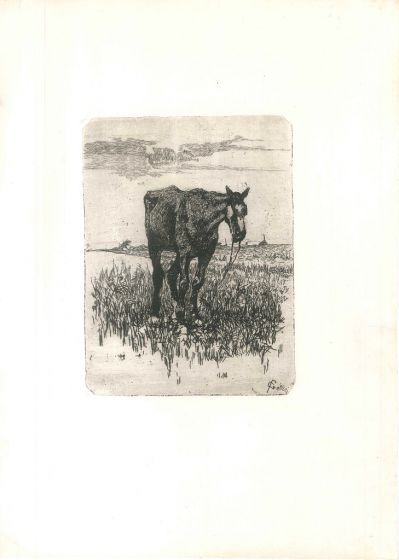 The Old Horse by Giovanni Fattori - Old Master's Artwork