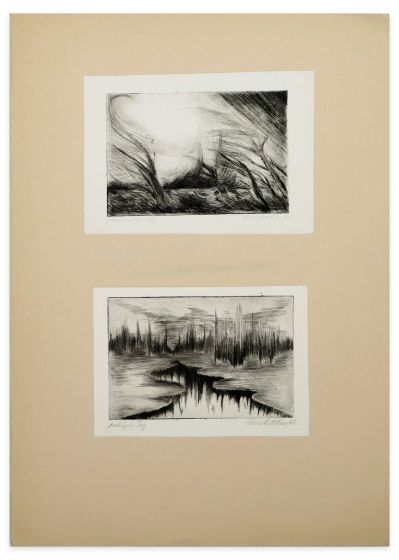 Two Lake Landscapes by Anonymus - Contemporary Artworks