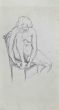 The Posing Nude 