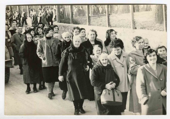 The Line - Historical Photographs About the Feminist Movement
