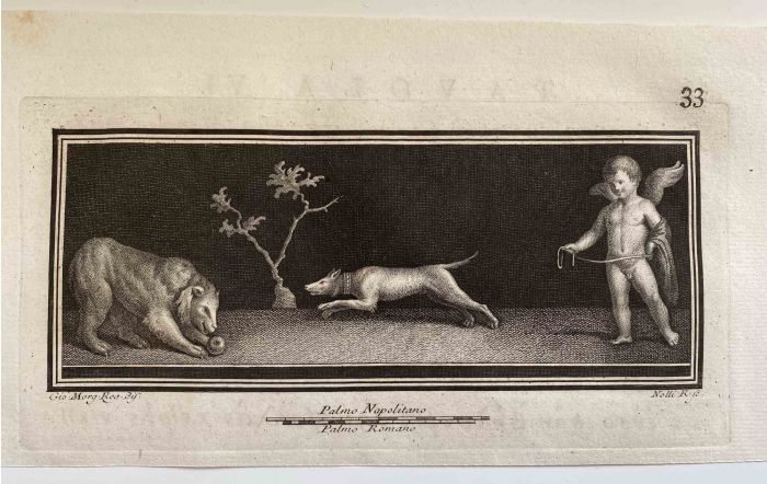 Cupid and Animals of Hercolaneum - Carlo Nolli - Old Master's Artwork