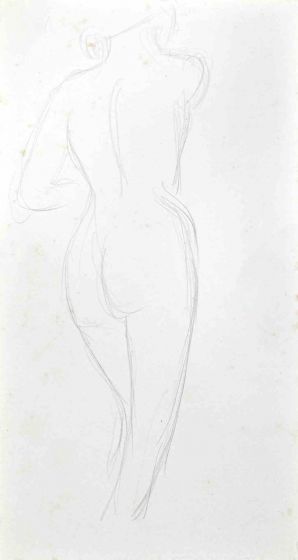 The Posing Nude  from Back