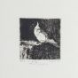 Bird by Cugia Gianni - Contemporary Artwork