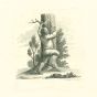 A Boy Climbing a Tree