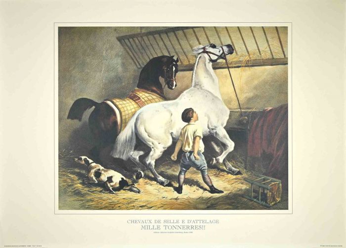 Chevaux de Selle et d'Attelage