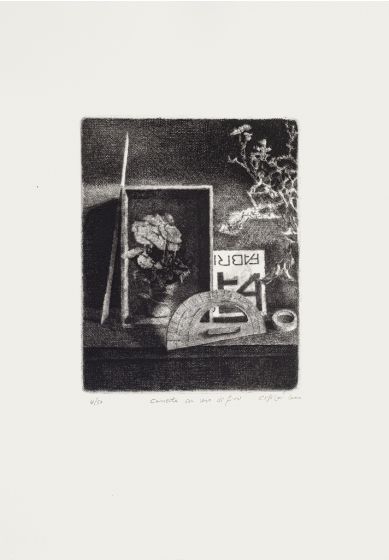 A Box With Flowers by Piero Cesaroni - Contemporary Artworks