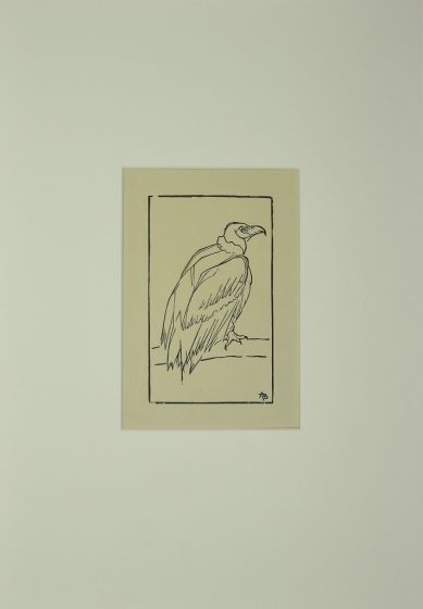 Bird by n.a.