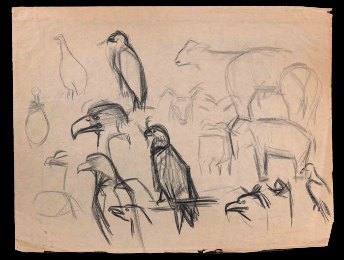 Birds