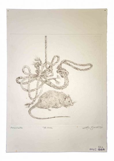 The Rope