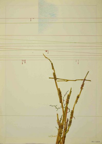 Composition