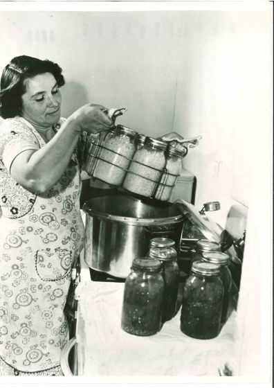 Middle-class American Woman- American Vintage Photograph
