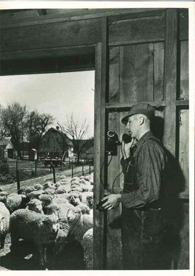Telephone System - American Vintage Photograph