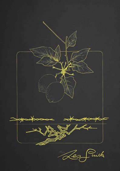 Still Life