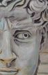 Davide's Gaze