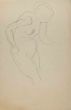 The Posing Nude   