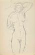 The Posing Nude 