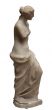 Venus De Milo by Anonymous - Modern Artwork
