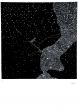 Star di Pino Settanni