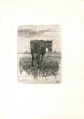 The Old Horse by Giovanni Fattori - Old Master's Artwork