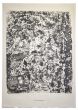 Terre Chamarree is an original lithograph on watermarked paper "Arc". Abstract composition by the French artist Jean Dubuffet. From the album of "Theatre du sol" (1953-1959). In excellent conditions.