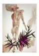 The Wild Nude