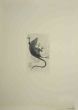 Flight of the Rat