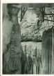 Wonderland of Caves - American Vintage Photograph