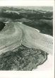 International Ocean Safety - American Vintage Photograph 
