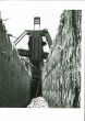 Lifting Machine- American Vintage Photograph