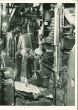 Modern Newspaper Plant - American Vintage Photograph