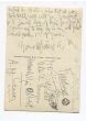 Autograph Postcard by Axel Munthe - Original Manuscripts