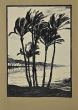 Palm Trees