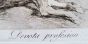 Devota Profesion from Los Caprichos