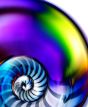 Nautilus #1