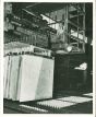U.S. Copper - American Vintage Photograph 