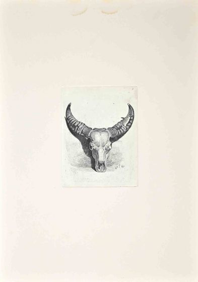 The Bull's Skull