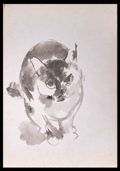 Lovely  Cat 